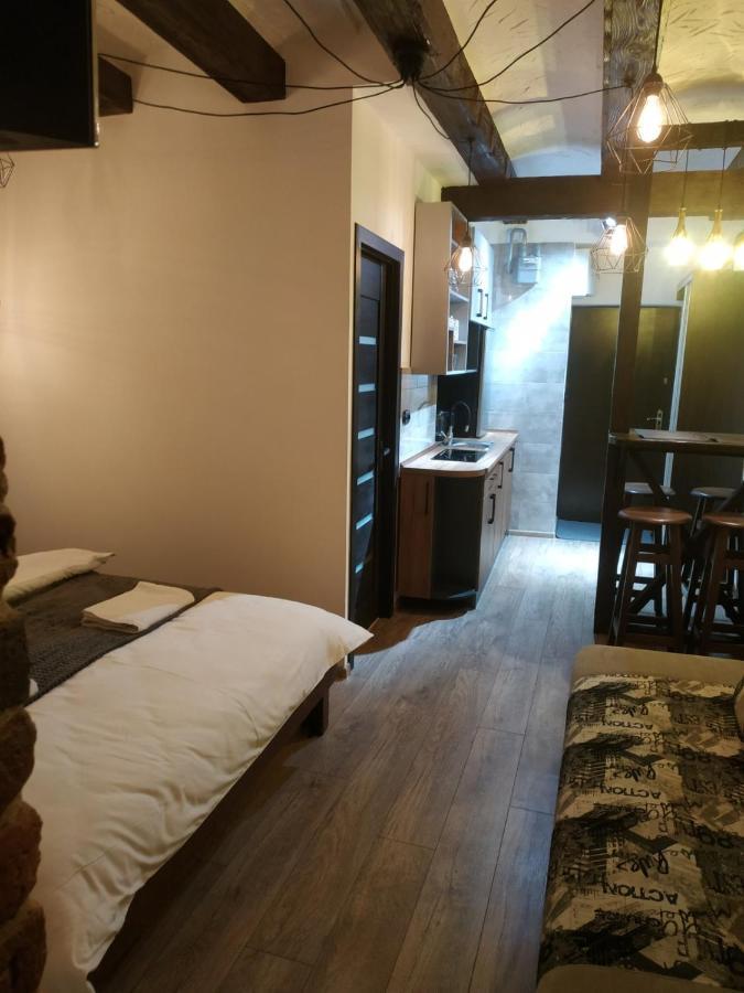 Loft Апартаменти З Балконом В Центрі Львова Lviv Exterior foto
